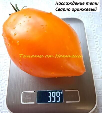 Наслаждение Тётушки Сварло оранжевый