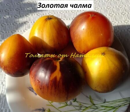 Золотая Чалма