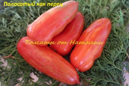 Полосатый как перец 